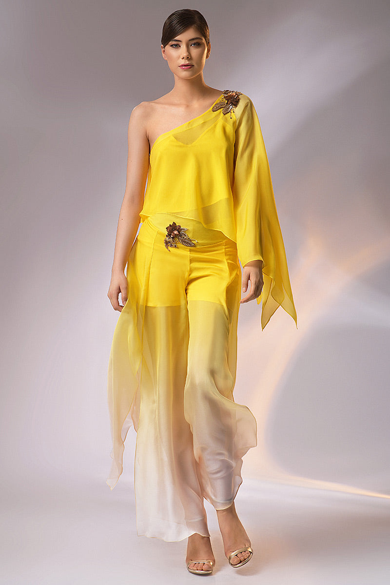 Costum de matase si broderie manuala C1h24