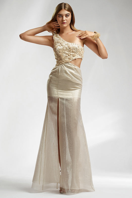 Rochia de seara lunga cu dantela brodata Carpena, R2s24