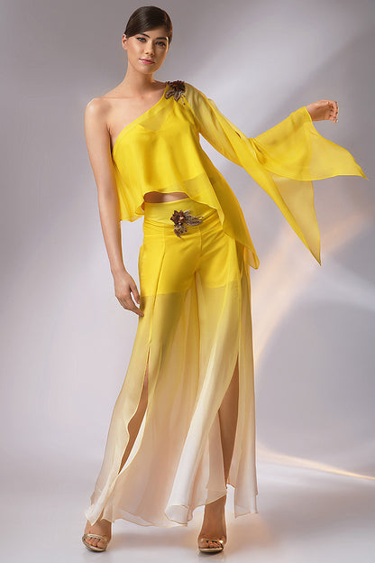 Costum de matase si broderie manuala C1h24