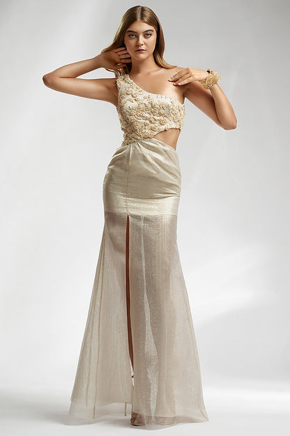 Rochia de seara lunga cu dantela brodata Carpena, R2s24